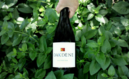 Halliday Wine Companion Oakdene Great Results