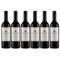 PACK - Bernard 6 Pack