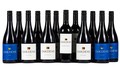 Red Wine Taster 12 Pack Image